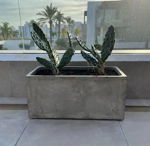 Modern Luxury Penthouse, 15 Minutes Marbella 아파트 에스테포나